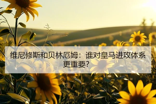 维尼修斯和贝林厄姆：谁对皇马进攻体系更重要？